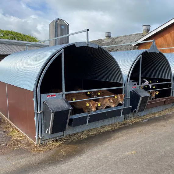 Spøttrup Hytten kalvehytte model XL