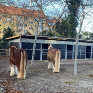Udestald fra Flexiboksen