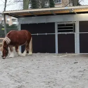 Udestald til heste