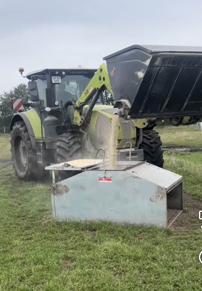 Foderautomat til smågrise - Billede 6