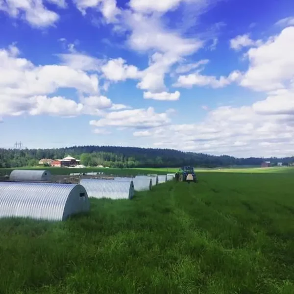 Drægtighedshytte 10 m2 - Billede 2