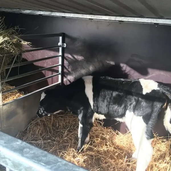 Kalveekspres med 4 bokse - Billede 3