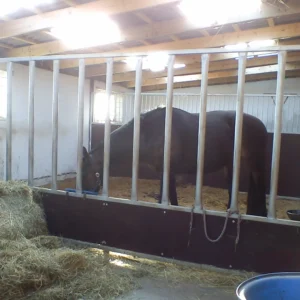 Hesteboks skillevæg til løsdrift