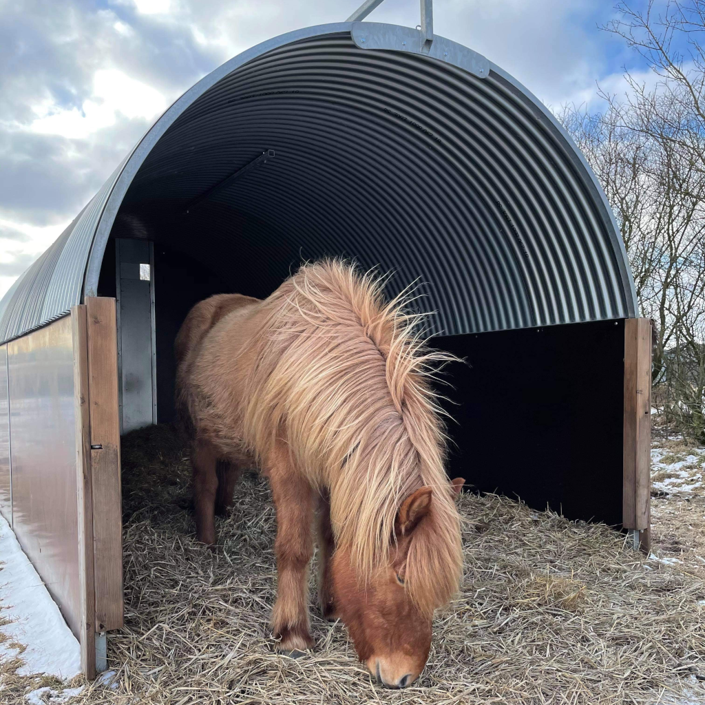 Prisbillig kvalitets løsdriftsstald til heste