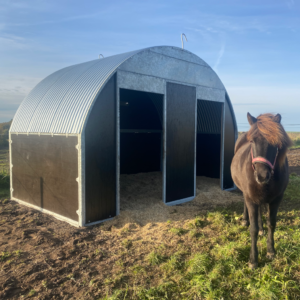 Robust løsdriftsstald til heste og ponyer
